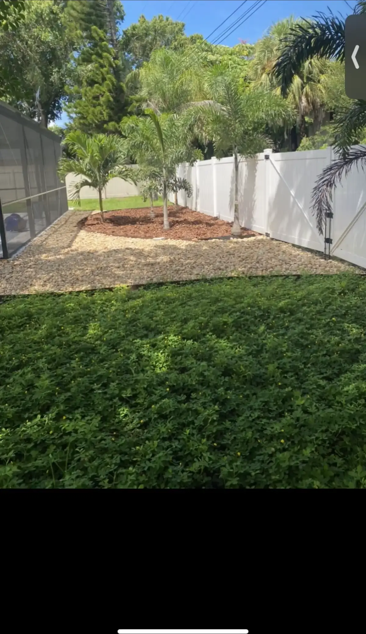 Front yard landscape design with native Florida plants