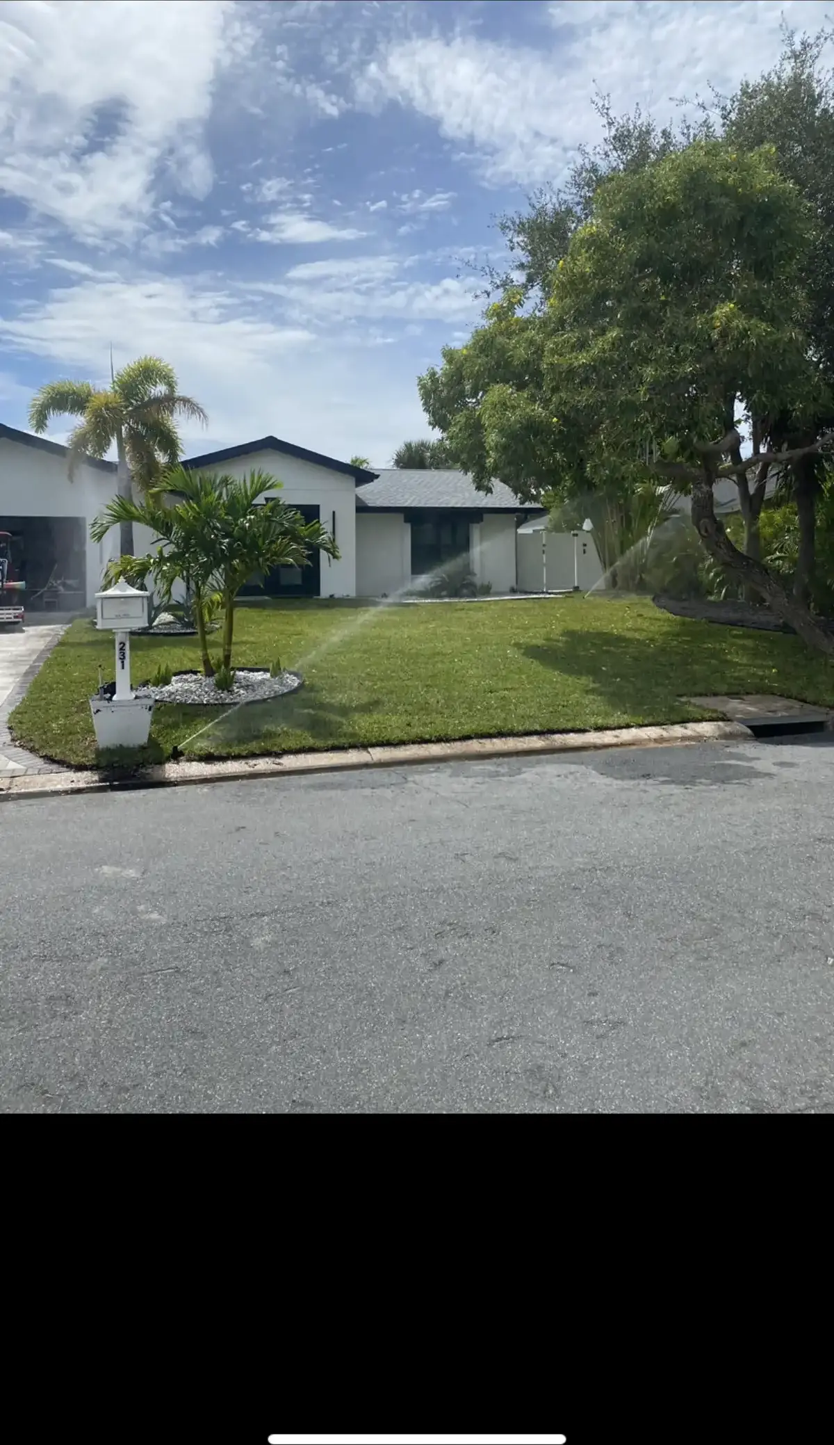 Artificial turf installation for pet-friendly backyard in St. Pete